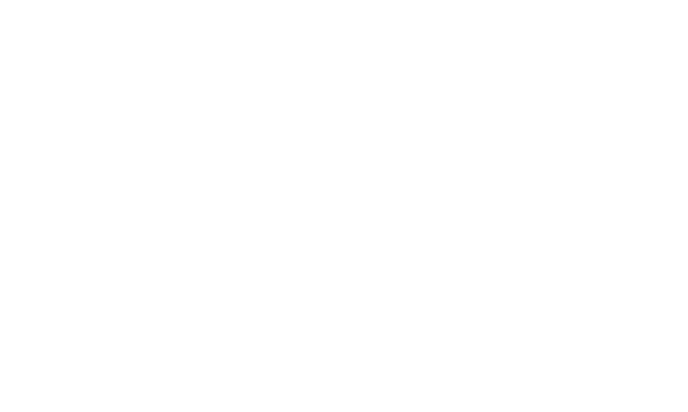 max fritid logo